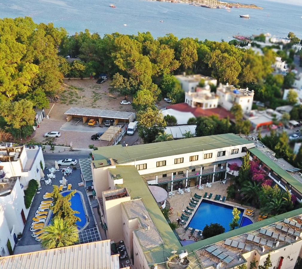 Sky Star Hotel - Bed & Breakfast Gümbet Eksteriør billede